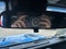 2024 Jeep Wrangler Rubicon 4WD