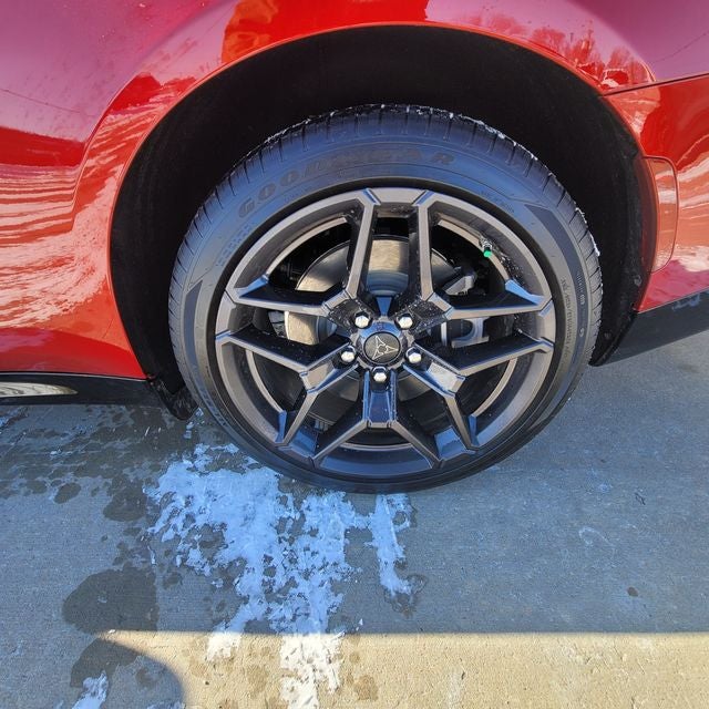 2024 Dodge Charger R/T