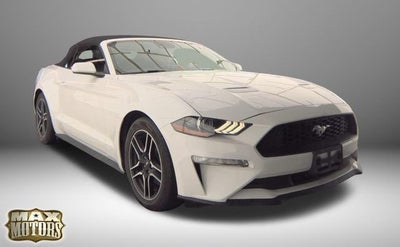 2023 Ford Mustang EcoBoost