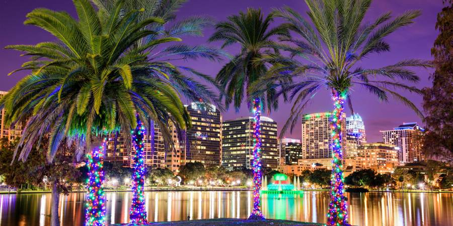 Orlando skyline and palm trees lit up at night